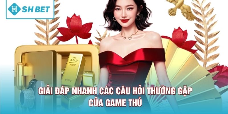 Giải đáp nhanh các câu hỏi thường gặp của game thủ