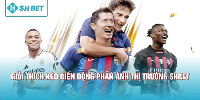 Giải thích kèo biến động phản ánh thị trường SHBET