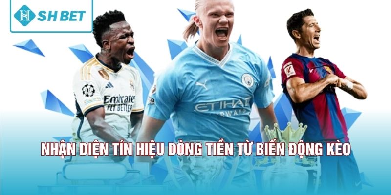 Nhận diện tín hiệu dòng tiền từ biến động kèo